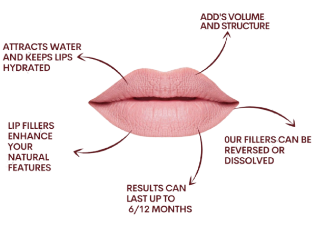 How can Our Premium Lip Fillers Help You?